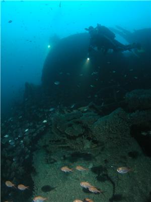 The engine area